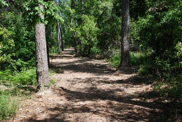 Pundt Park _things to do in spring, TX