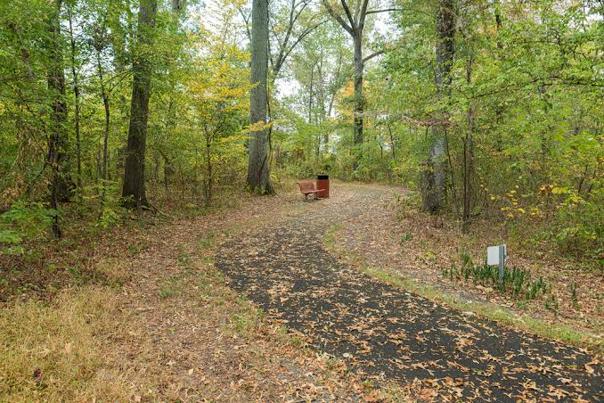 Cannon Branch Fort