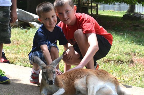 Kentucky Down Under Adventure Zoo