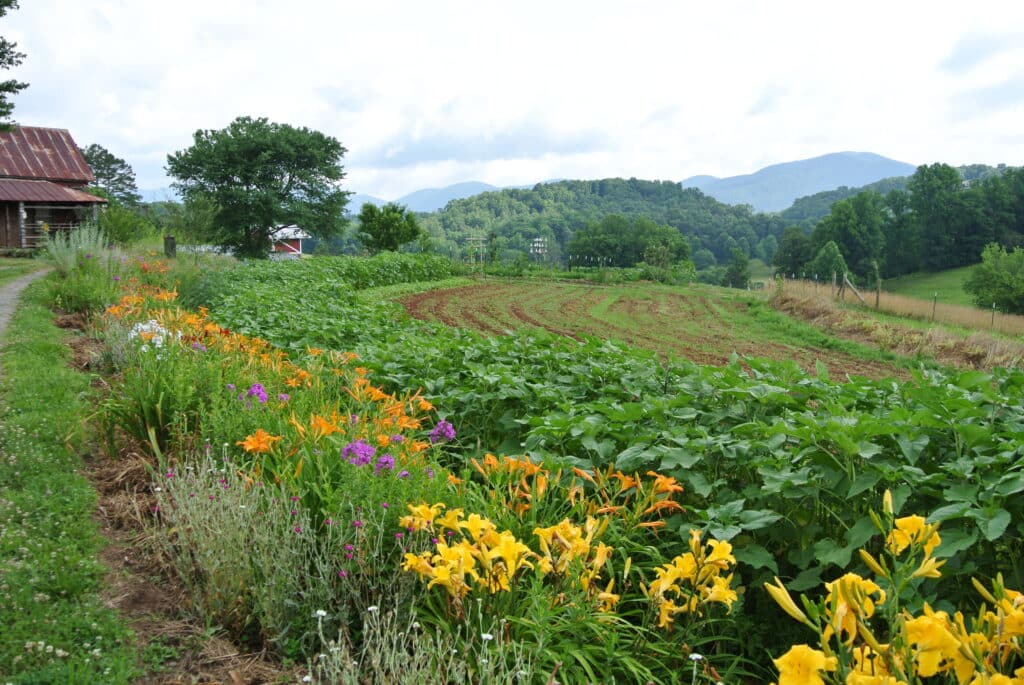 Loganberry Heritage Farm