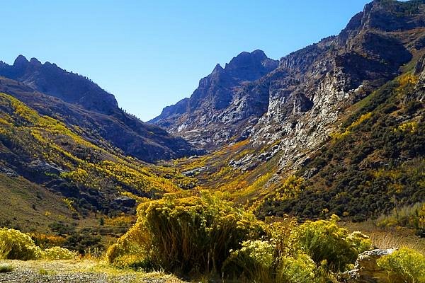 Ruby Mountains