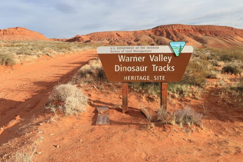 Warner Valley Dinosaur Track 