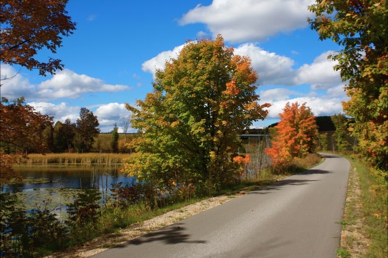 Friends Of The White Pine Trails