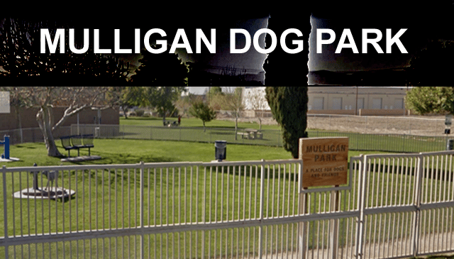 Mulligan Dog Park