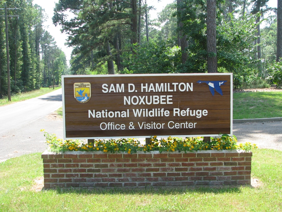 Sam D. H. Noxubee National Wildlife Refuge