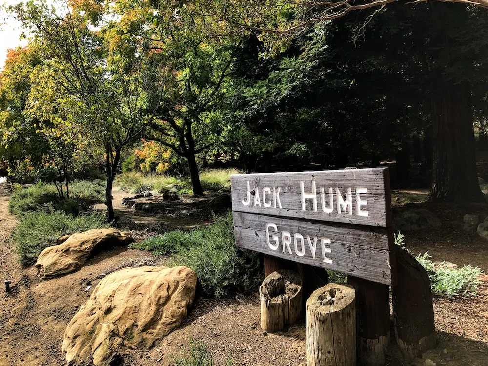 Jack Hume Grove